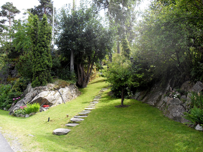 SDC10352.JPG