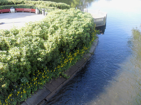 SDC10963.JPG