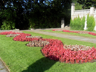 SDC11001.JPG