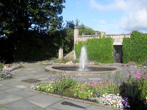 SDC11006.JPG