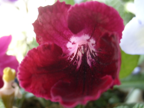 SL270020.JPG