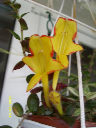 SL270392.JPG