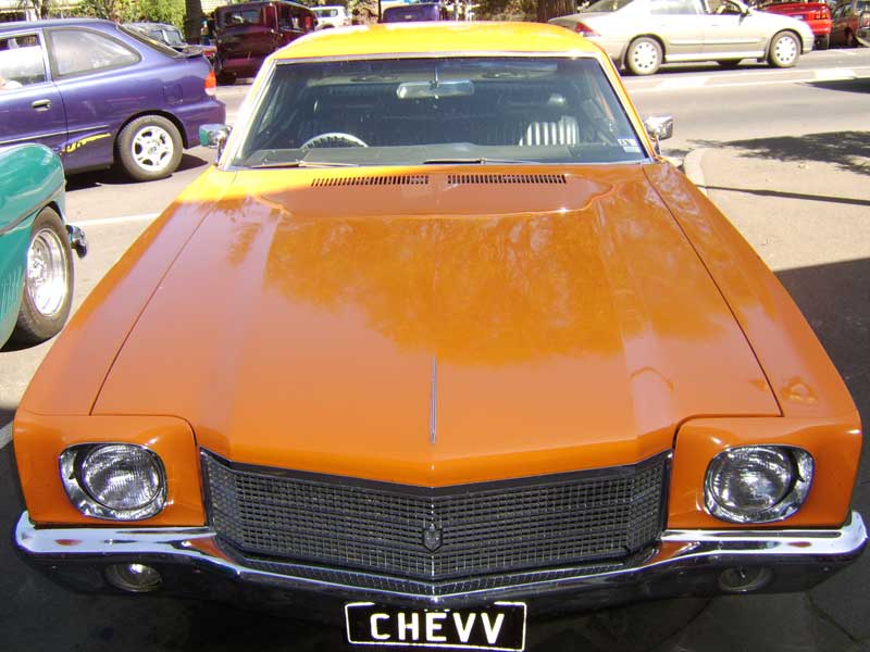 STA78364.jpg