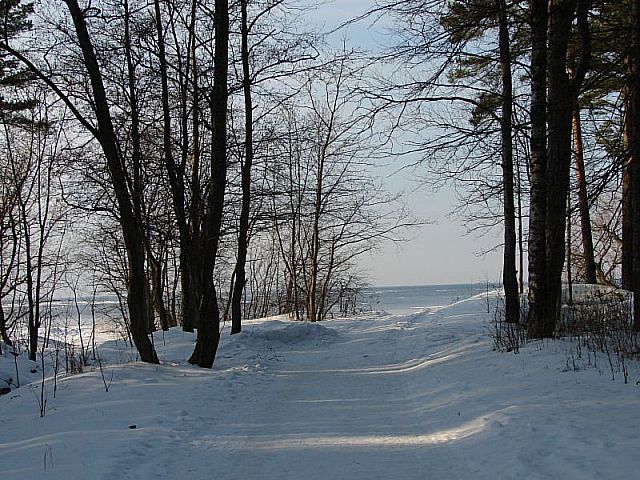t 902.jpg