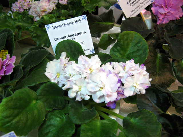 Vyst-2-094.jpg
