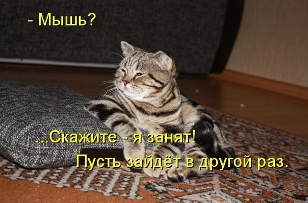 wzN6yBVneBs.jpg