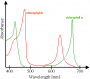 agrohimiya:chlorophyll_ab_spectra.png