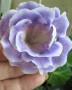 dimetris.com.ua:альбомы:жилина_светлана:blue_pearl_field.jpg