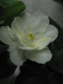 dimetris.com.ua:альбомы:жилина_светлана:warm_sunshine.jpg