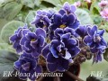 dimetris.com.ua:альбомы:ирчик:ек-роза_арктики.jpg