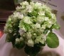 dimetris.com.ua:альбомы:мячик:irish_flirt.jpg