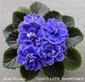 dimetris.com.ua:альбомы:мячик:lyons_little_sweetheart.jpg