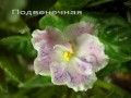dimetris.com.ua:альбомы:тату:подвенечная.jpg