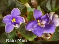 dimetris.com.ua:альбомы:тату:rain_man.jpg