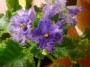 dimetris.com.ua:альбомы:юлия_черкассы:ек-_небесный_замок.jpg