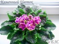 dimetris.com.ua:альбомы:angelket:каменный_цветок.jpg