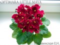 dimetris.com.ua:альбомы:angelket:optimara_little_maya.jpg