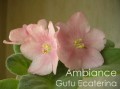 dimetris.com.ua:альбомы:kateha:ambiance.jpg