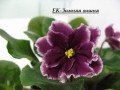 dimetris.com.ua:альбомы:kati:ек-зимняя_вишня.jpg