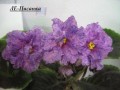 dimetris.com.ua:альбомы:kati:ле-писанка.jpg