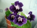 dimetris.com.ua:альбомы:kati:ночной_дозор.jpg