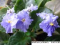 dimetris.com.ua:альбомы:kati:anastasia.jpg