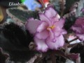 dimetris.com.ua:альбомы:kati:elizabeth.jpg