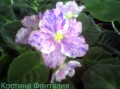 dimetris.com.ua:альбомы:lyo-liliya:костина_фантазия.jpg