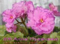 dimetris.com.ua:альбомы:mandragora:ек-алла_пугачева.jpg