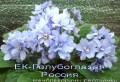dimetris.com.ua:альбомы:mandragora:ек-голубоглазая_россия.jpg