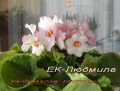 dimetris.com.ua:альбомы:mandragora:ек-людмила.jpg
