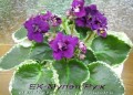 dimetris.com.ua:альбомы:mandragora:ек-мулен_руж.jpg