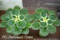 dimetris.com.ua:альбомы:mandragora:рс-ледовый_плен.jpg