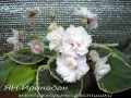 dimetris.com.ua:альбомы:mandragora:ян-иринадан.jpg