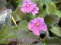 dimetris.com.ua:альбомы:mandragora:b-mans_etna.jpg