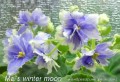 dimetris.com.ua:альбомы:mandragora:mas_winter_moon.jpg