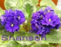 dimetris.com.ua:альбомы:mandragora:shanson.jpg