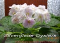 dimetris.com.ua:альбомы:mandragora:silverglade_oysters.jpg