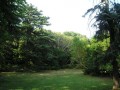 dimetris.com.ua:альбомы:nataly:воронцовский_парк.jpg