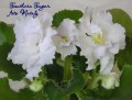 dimetris.com.ua:альбомы:nataly:southern_sugar.jpg