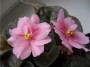dimetris.com.ua:альбомы:natascha:утомленное_солнце.jpg
