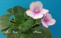 dimetris.com.ua:альбомы:nativa:мини.jpg
