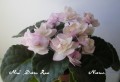 dimetris.com.ua:альбомы:nativa:ness_satin_rose_мини.jpg