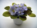 dimetris.com.ua:альбомы:norsvet:crystal-blue.jpg