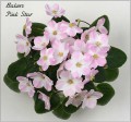 dimetris.com.ua:альбомы:olex:bakers_pink_star.jpg