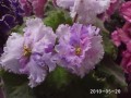 dimetris.com.ua:альбомы:rosanna:ле-натали.jpg
