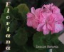 dimetris.com.ua:альбомы:sweet:deacon_bonansa.jpg