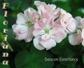 dimetris.com.ua:альбомы:sweet:deacon_constancy.jpg