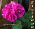 dimetris.com.ua:альбомы:sweet:highfields_fancy.jpg