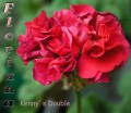 dimetris.com.ua:альбомы:sweet:kennys_double.jpg